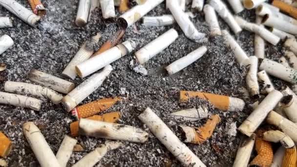 Velká Hromada Cigaretových Nedopalků Sociální Video — Stock video