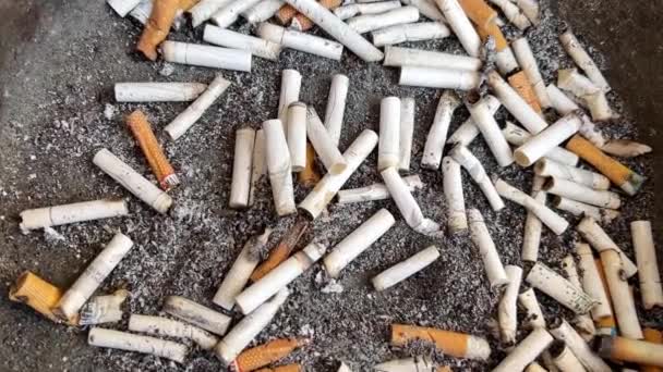 Cigarettacsikkek Hamutartóban Rossz Szokások Cigarettázás — Stock videók