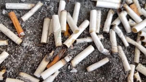 Muchos Fumaban Cigarrillos Cenicero Ampliar Vídeo Movimiento Lento — Vídeo de stock