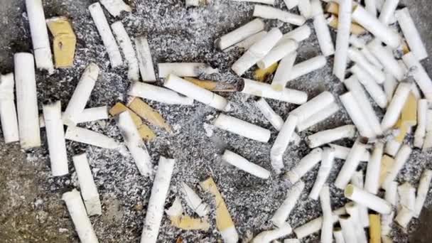 Пепельнице Разбросана Большая Куча Копченых Сигарет Пепла Вредно Здоровья Курение — стоковое видео