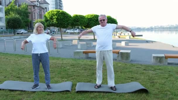 Amerikanska Äldre Par Som Gör Yoga Eller Stretchar Parken Morgonen — Stockvideo