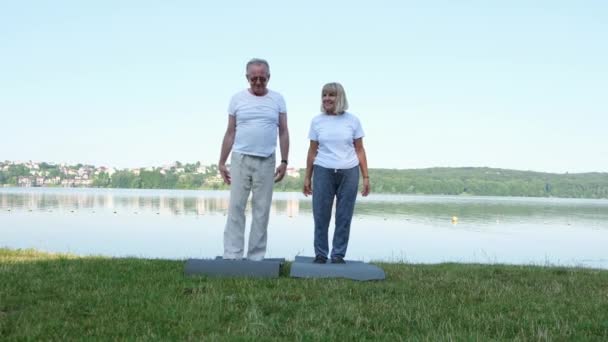上了年纪的夫妇早上在湖边做运动 他们举起胳膊伸展自己的身体 体育退休 — 图库视频影像