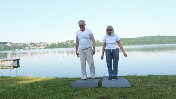 Glückliche Ältere Familien Machen Morgengymnastik Für Eine Gute Gesundheit Park — Stockvideo