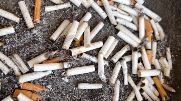 Lugar Para Fumar Montón Traseros Cenicero Fumar Cigarrillos Peligroso Para — Vídeos de Stock