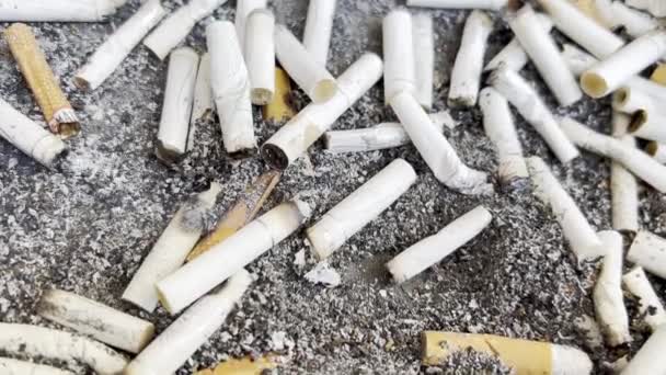 Füstölt Dohány Cigaretta Hamutartóban Nikotin Nyilvános Helyen Füst Koncepció Egészségtelen — Stock videók
