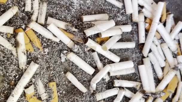 Contaminación Ambiental Con Colillas Cigarrillos Fumar Daña Salud Depresión Una — Vídeos de Stock