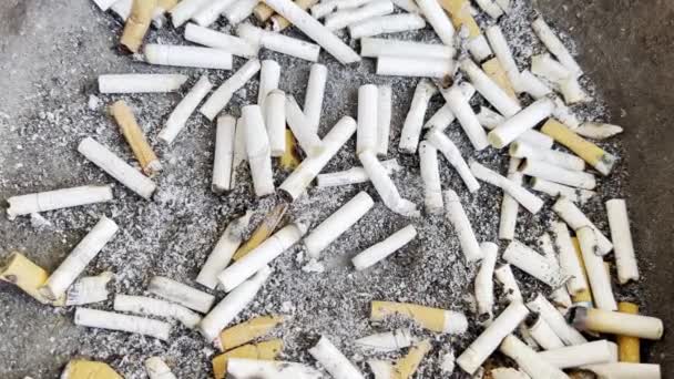 Fumo Sigaretta Pericoloso Salute Mucchio Culi Nel Posacenere — Video Stock