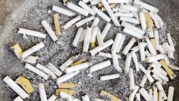 Rauchen Tötet Ein Bündel Gerauchter Zigaretten Raucherentwöhnung Schaden Durch Rauchen — Stockvideo
