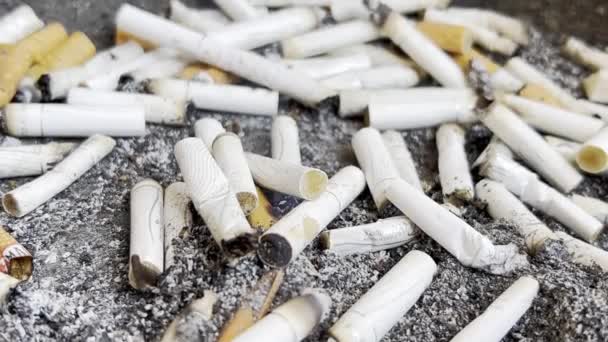 Makro Video Hromadou Rozbitých Cigaret Přestaň Kouřit Škody Kouření — Stock video