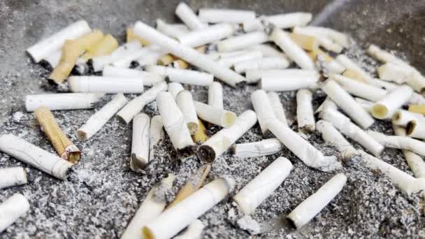 Dohányzás Cigizés Hamutartóban Hagyd Abba Dohányzást Dohányzás Okozta Ártalom — Stock videók