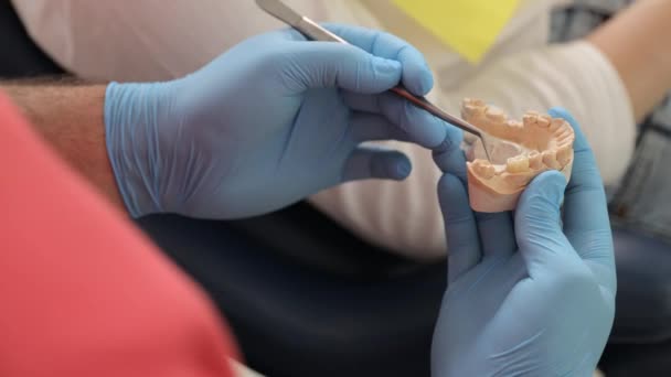 Close Dentista Mãos Segurando Modelo Uma Mandíbula Humana Conceito Educação — Vídeo de Stock
