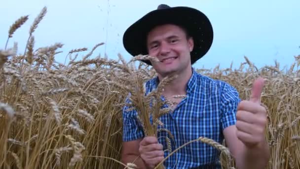 一个面带微笑的年轻人正在麦田的背景上抱着玉米的耳朵 一位快乐的农艺学家农民照料他的庄稼以获得丰硕的收成 — 图库视频影像