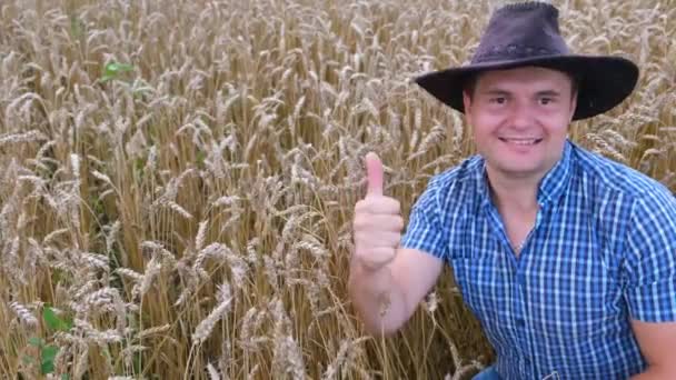 麦田里心满意足的农民把手指指向高山 耕地上的农民 种植黄小麦或即将收获的小麦 — 图库视频影像