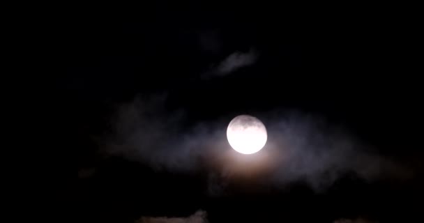 Lua Cheia Céu Escuro Noite — Vídeo de Stock