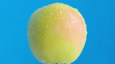 Mavi arka planda güzel, sulu bir elma. Makro video. Dikey video