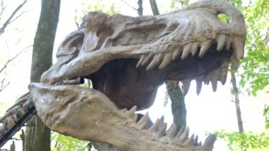 Ormanın arka planında korkunç bir dinozorun iskeletinin kopyaları var. Dinozorların tarihini araştırıyorum. Paleontoloji