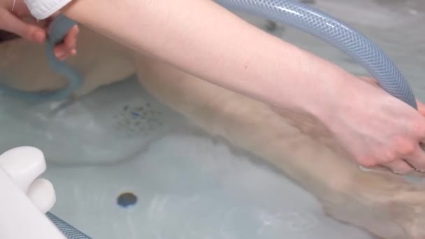 Health Massage Jet Water Young Beautiful Blonde Hydro Procedures Spa — Αρχείο Βίντεο