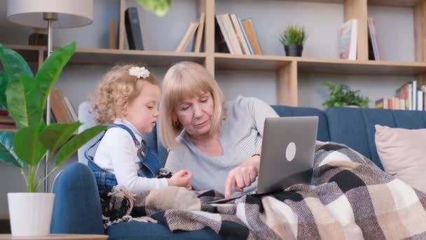 Little Girl Teaches Elderly Woman Use Laptop Her Granddaughter Has — ストック動画