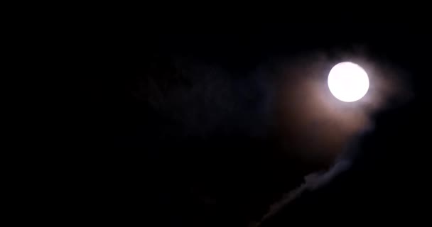 Bright Yellow Moon Night Clouds Astrology Concept — Stockvideo
