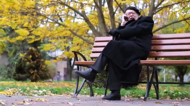 Pleasant Old Gray Haired Man Glasses Sitting Park Bench Talking — Video