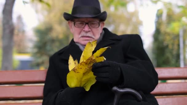 Old Lonely Man Black Coat Hat Sits Autumn Park Holds — Vídeos de Stock
