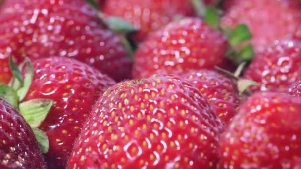 Group Red Mouth Watering Ripe Strawberries Rotates Circle Strawberry Background — Stock Video