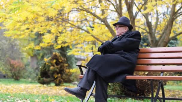 Old Intelligent Grandfather Hat Rests Bench Autumn Park Calls Someone — 비디오
