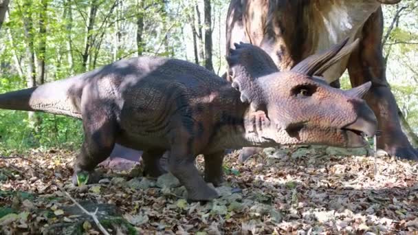 捕食恐竜のモデルで まだ長い間立っており 獲物を狩ります 恐竜の命 ジュラ紀の時代 — ストック動画