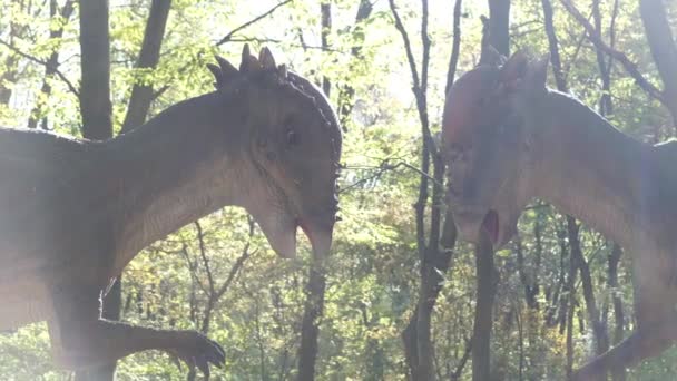 太陽の光の中で森の中に2つの奇妙な恐竜のモデル ディノザルビル公園を散歩 — ストック動画