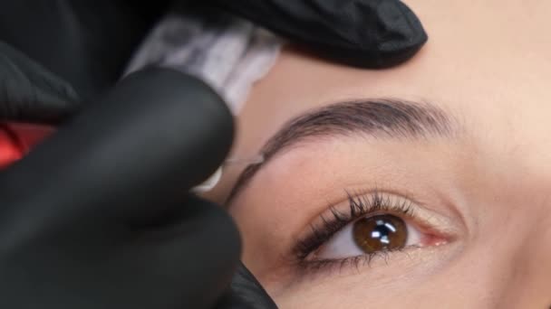 Cosmetologist Performs Procedure Permanent Makeup Eyebrows Close Front Closeup View — стоковое видео