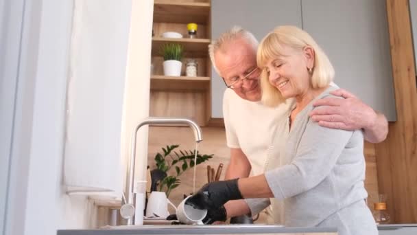 Рука Допомоги Щаслива Старша Пара Миє Посуд Вдома Кухні — стокове відео