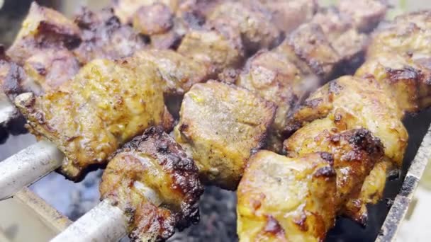 Close Juicy Pork Kebabs Being Grilled Fire Outdoors Cooking Meat — Wideo stockowe