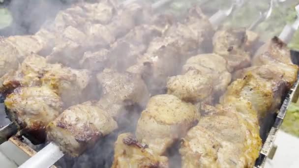 Pork Shish Kebab Which Roasted Fire Open Air Cooking Meat — Vídeo de stock