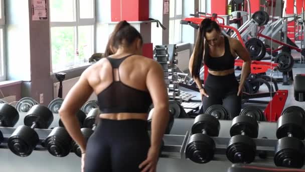 Sporty Woman Lifts Heavy Dumbbells Train Arm Muscles Portrait Athlete — Stockvideo