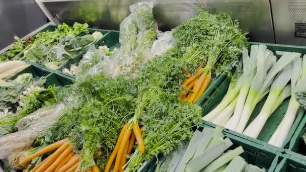 Background Products Vegetable Market Carrots Cabbage Greens Concept Vegetarian Food — Videoclip de stoc