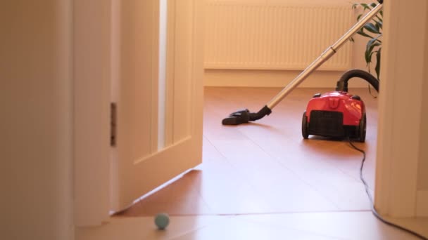 Kobieta Używająca Odkurzacza Podczas Sprzątania Podłogi Domu — Wideo stockowe