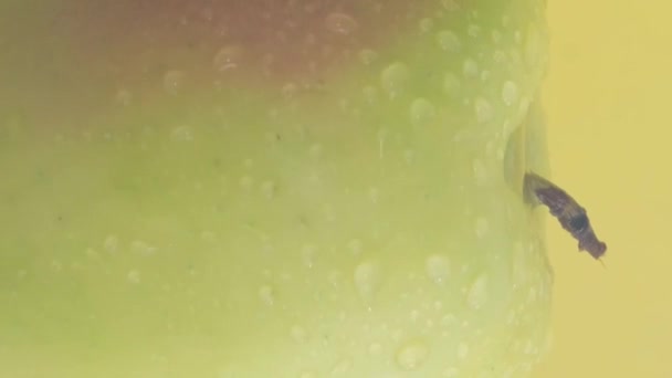 노란색 배경에 사과를 줄이십시오 건강한 음식과 다이어트의 채식주의 비디오 — 비디오
