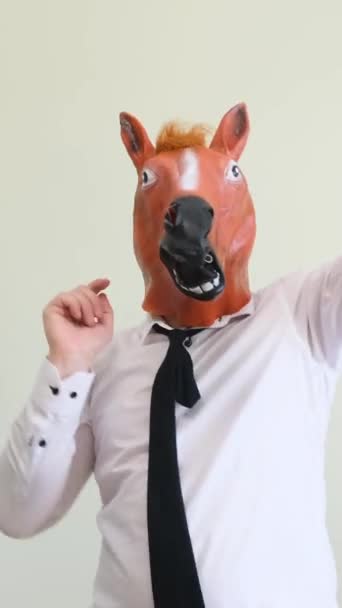 Man Horse Mask Dances Background Studio Funny Dance Performed Man — Stock Video