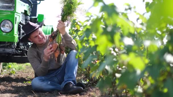 Portret Biznesmena Rolnika Podczas Żniw Marchwi Świeżo Zebrane Warzywa Produkty — Wideo stockowe