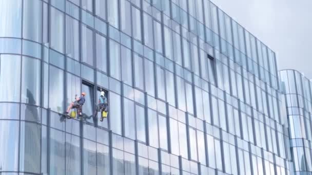 Egy Csapat Hegymászó Ablakot Pucol Egy Felhőkarcolón Egyesült Államokban Ablaktisztítás — Stock videók