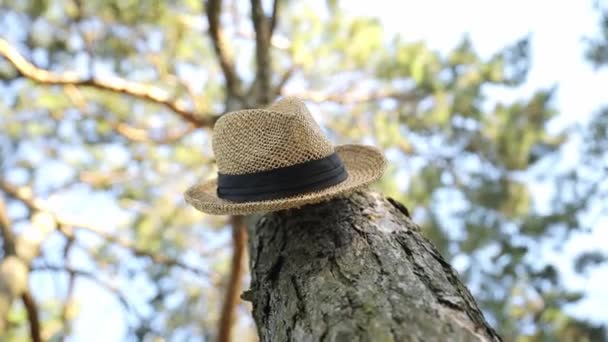 Женщина Оставила Шляпу Дереве Лесу Отдых Природе Осенний Лес — стоковое видео