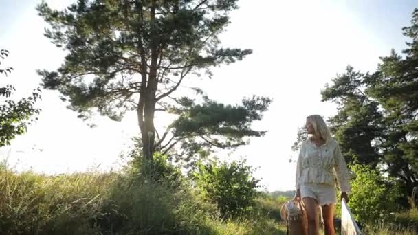 Jovem Mulher Andando Parque Outono Dia Ensolarado Caminhadas Exteriores — Vídeo de Stock
