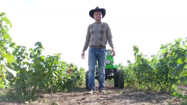 Genç bir Amerikalı çiftçi yeni bir üzüm bağının fidanlığını inceliyor. Üzüm bağı tarlaları.