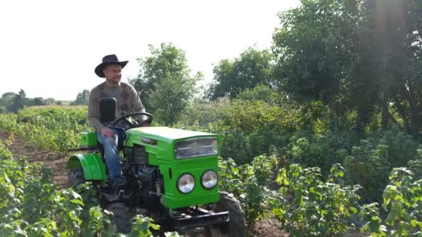 Ένας Αγρότης Ένα Μικρό Τρακτέρ Καλλιεργεί Για Φυτείες Σταφυλιών Έννοια — Αρχείο Βίντεο