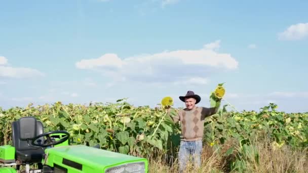 Een Amerikaanse Arbeider Danst Een Zonnebloemenveld Landbouw Natuurconcept Gelukkige Boer — Stockvideo