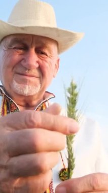 Şapkalı ve nakışlı gömlekli tatmin olmuş ve mutlu büyükbaba mısır kabuğu tutuyor ve kameraya bakıyor. Mutlu insanlar. Dikey video