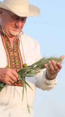 Yaşlı, zarif bir Ukraynalı köylü tarlanın ortasında taze buğday filizleri tutuyor. Mavi gökyüzünün arka planında mutlu ve memnun bir çiftçi. Dikey video