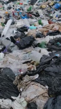 Sri Lanka, plastik atıklarla kirlenmiş plajlar. Hint Okyanusu 'ndaki küresel plastik atık sorunu. Dikey video
