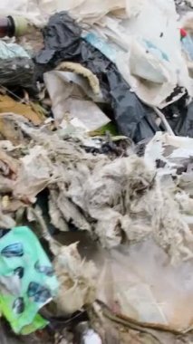 Hint Okyanusu, Bali, okyanustaki çöpler, kullanılmış kirli plastik şişeler, çevre felaketi. Dikey video