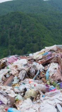 Dağlardaki yeşil bir ormanın ortasında düzensiz bir çöp yığını. Çevresel sorun kavramı. Plastik kullanımının ekolojik felaketi. Dikey video